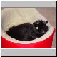 betty_bed3.jpg